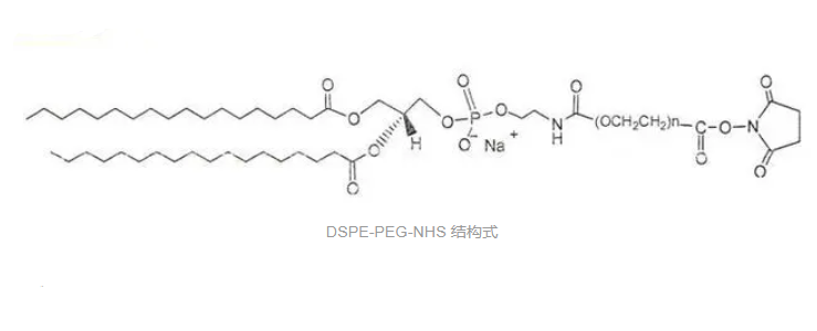 磷脂-聚乙二醇-活性酯,DSPE-PEG5K-NHS