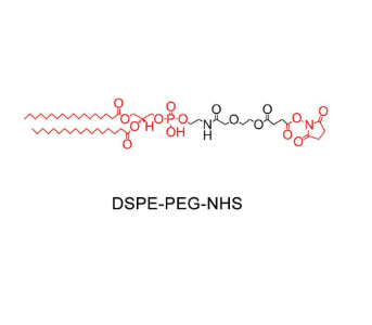 硬脂酰磷脂酰乙醇胺-聚乙二醇-活性脂,DSPE-PEG-NHS