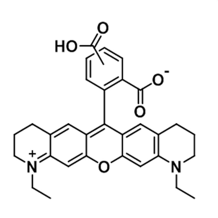 AT 565羧酸,ATTO 565 Acid;AT 565 carboxylic acid;AT 565 COOH