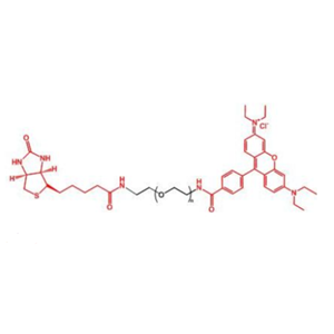 生物素-聚乙二醇标记罗丹明