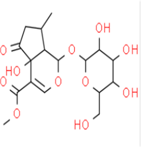 5-羟基马鞭草苷,hastatoside