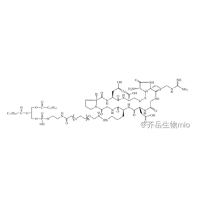 环肽iRGD聚乙二醇磷脂