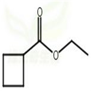 环丁烷甲酸乙酯,Ethyl Cyclobutanecarboxylate