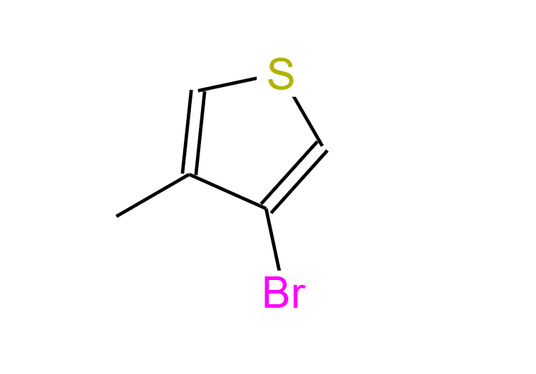 3-溴-4-甲基噻吩,3-Bromo-4-methylthiophene