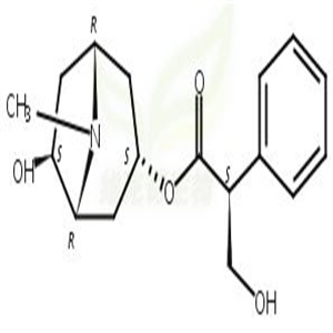6-beta-羟基莨菪碱,6-beta-Hydroxyhyoscyamine