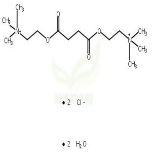 氯化琥珀酰胆碱二水合物