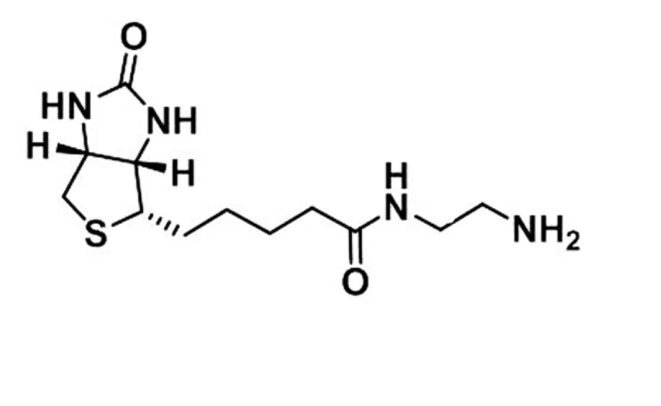 生物素-氨基，N-(2-氨基乙基)生物素胺，	 生物素-乙二胺,Biotin-EDA,Biotin-NH2,Biotin-Ethylamine