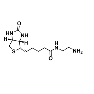 生物素-氨基，Biotin-NH2，111790-37-5，Biotin-EDA