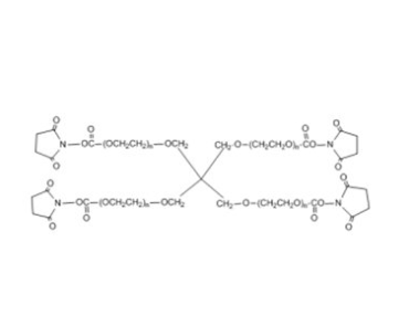 四臂PEG活性酯,4 arm PEG NHS 20 K