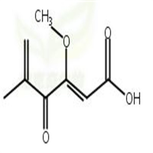 青霉酸,Penicillic acid