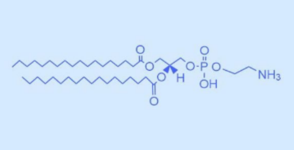 肝素修飾聚乙二醇PE磷脂,DSPE-PEG-Heparin