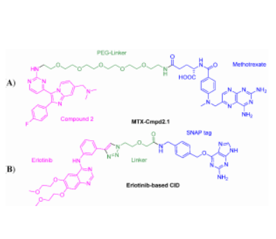 PEG化甲氨喋呤MTX,mtx-peg-NH2