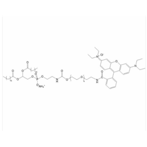 磷脂聚乙二醇罗丹明B,RB-PEG-DSPE