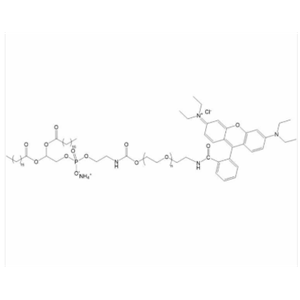 RB-PEG-DSPE DSPE-PEG-RB 磷脂聚乙二醇罗丹明B