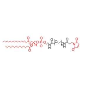 DSPE-PEG2000-MAL 磷脂-聚乙二醇-马来酰亚胺
