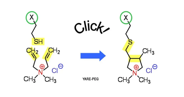 氨基-聚乙: =醇甲基,NH2-PEG-CH3