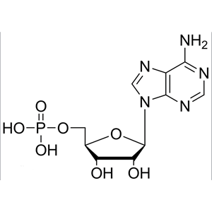 单磷酸聚乙: =醇羟基琥珀酰亚胺 AMP-PEG-NHS 单磷酸腺苷-聚乙二醇-活性酯
