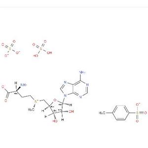 S-腺苷蛋氨酸对甲苯磺酸盐,S-Adenosyl-L-methionine disulfate tosylate