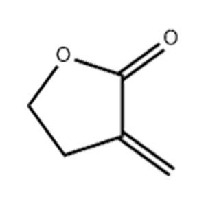 2-甲烯基丁内酯,Tulipalin A