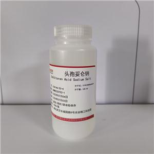 头孢妥仑钠—104146-53-4