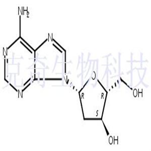 2'-脱氧腺苷 (无水)  CAS号：958-09-8