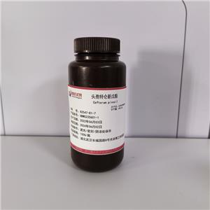 特仑新戊酯,Cefteram pivoxil
