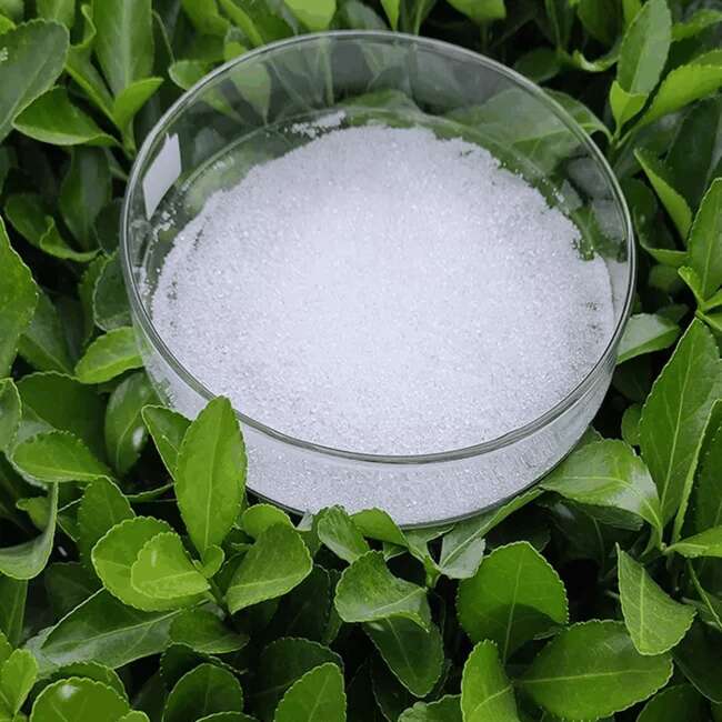 藥用級(jí)磷酸二氫鈉,Dibasic Sodium Phosphate