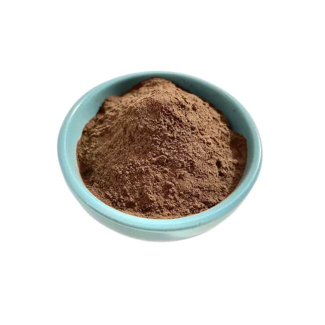 大青葉提取物10:1,Isatis indigotica Extract