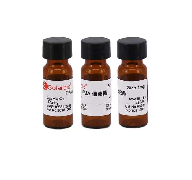 PMA佛波肉荳蔻醋酸（PKC激活剂）,PMA (TPA, 5mg/ml)