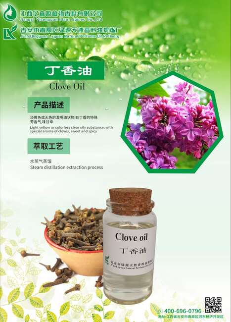 丁香油,Clove Oil