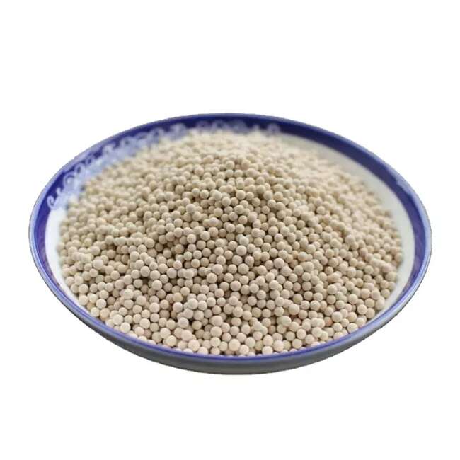 分子筛,MOLECULAR SIEVE
