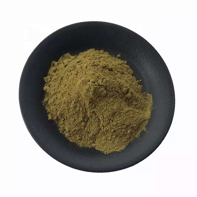 菊苣酸,ChicoricAcid