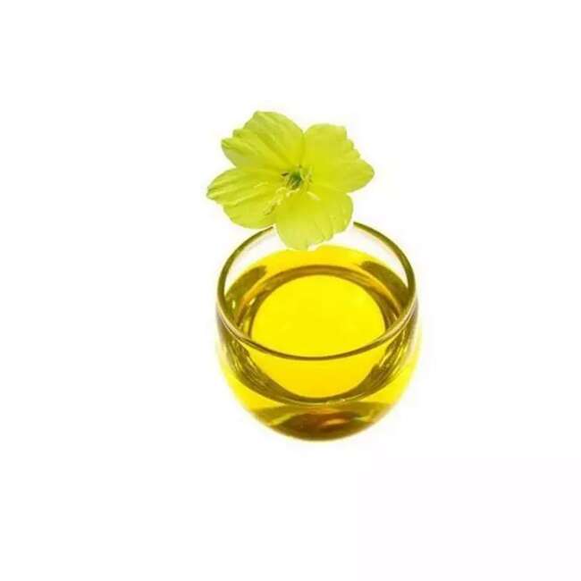 月見草油 天然質(zhì)量純正壓榨提取 保健品原料月見草油,Evening Primrose Oil