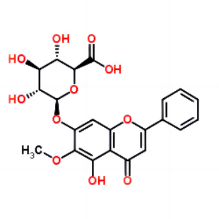 千层纸素A-7-O-β-葡萄糖醛酸苷,Oroxyloside