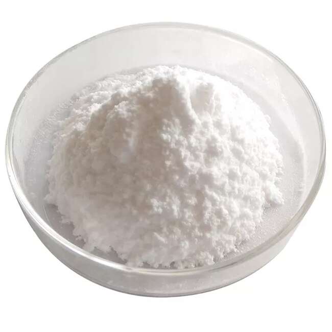 二烯丙基胺盐酸盐