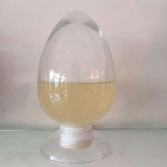 聚山梨酯60