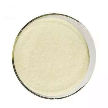 Chitin 1398-61-4
