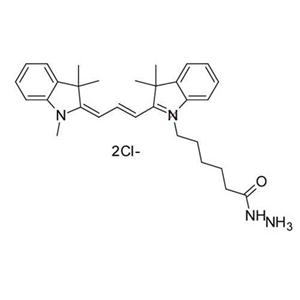 Cyanine3 hydrazide，Cy3 hydrazide，花青素CY3酰肼