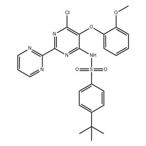 N-[6-氯-5-(2-甲氧基苯氧基)[2,2