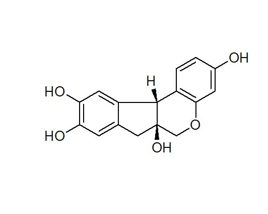 苏木素,dichroine