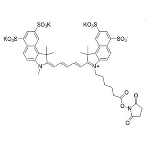 Sulfo-Cy5.5 NHS ester，2419286-92-1，磺酸基-Cy5.5活性酯