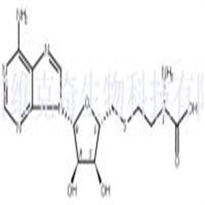 S-(5′-腺苷)-L-高半胱氨酸,S-(5′-Adenosyl)-L-homocysteine