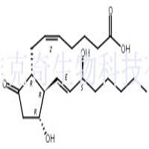 地诺前列酮,Prostaglandin E2