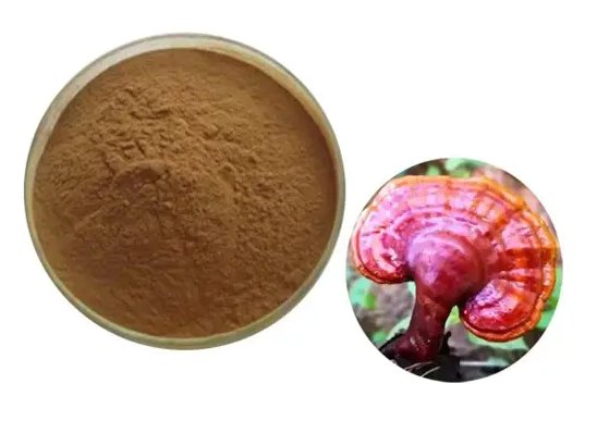 靈芝提取物,Reishi Mushroom Extract