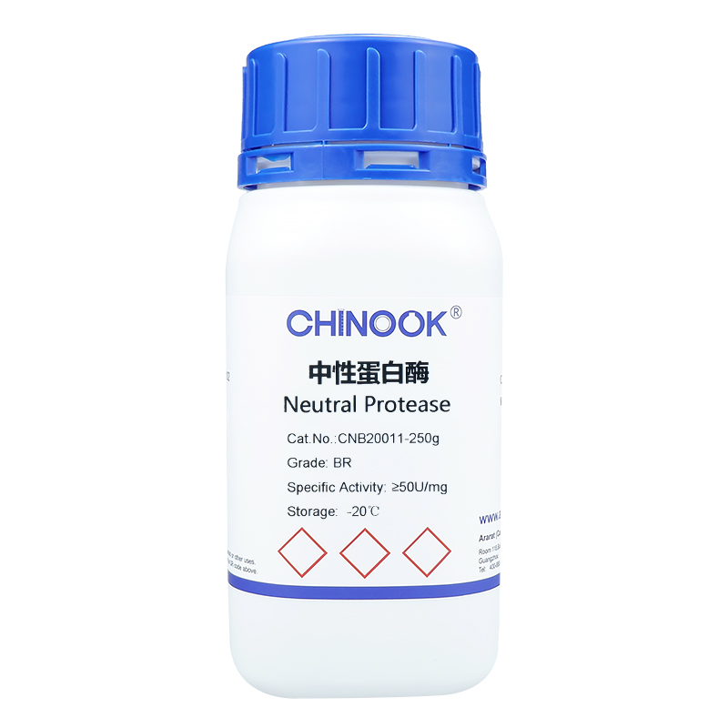 中性蛋白酶,Neutral Protease