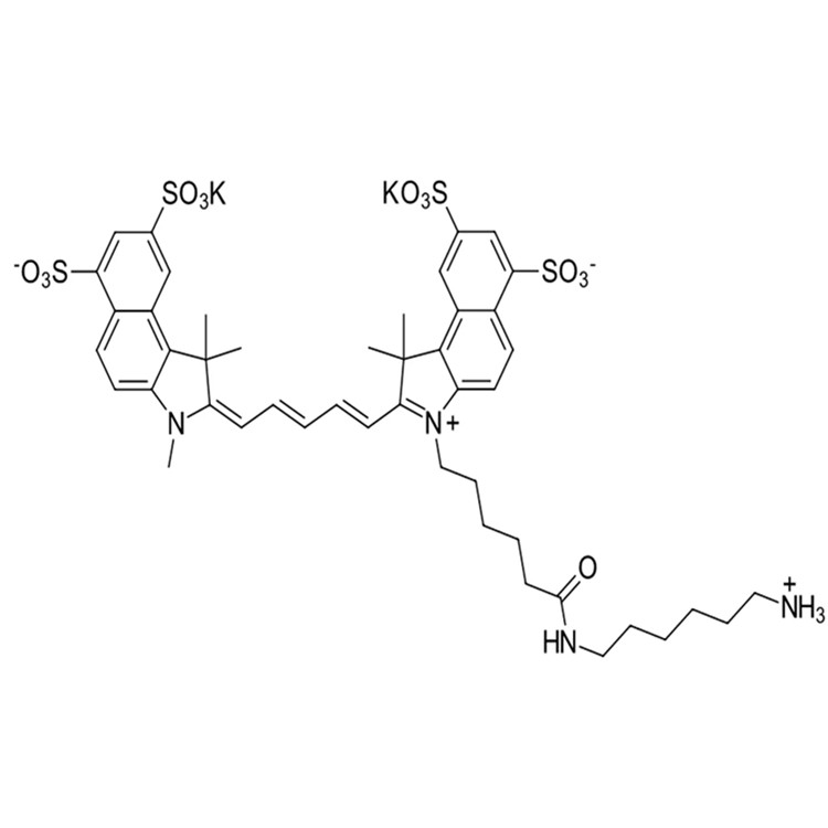 磺化Cy5.5-伯胺；磺酸基-花青素Cy5.5 氨基,Sulfo-Cyanine5.5 amine;Sulfo-Cy5.5 amine;Sulfo-Cy5.5 NH2