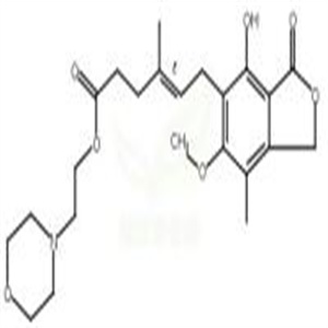 吗替麦考酚酯,Mycophenolate Mofetil