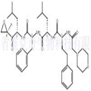 卡非佐米,Carfilzomib