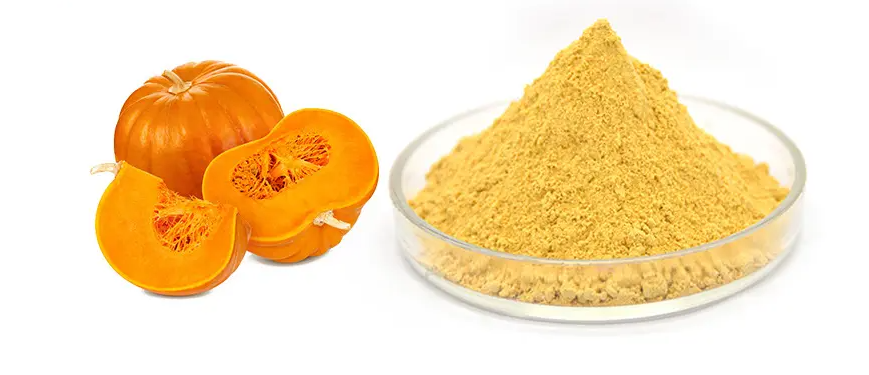 南瓜粉提取物,Pumpkin Powder