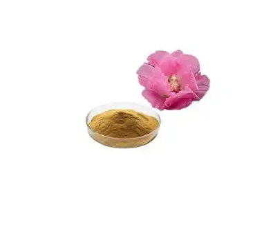 芙蓉花提取物,Hibiscus mutabilis Extract